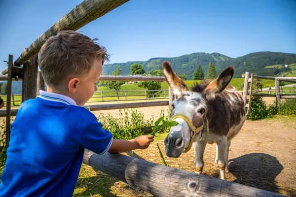 Verschenke einen Urlaub am Bauernhof